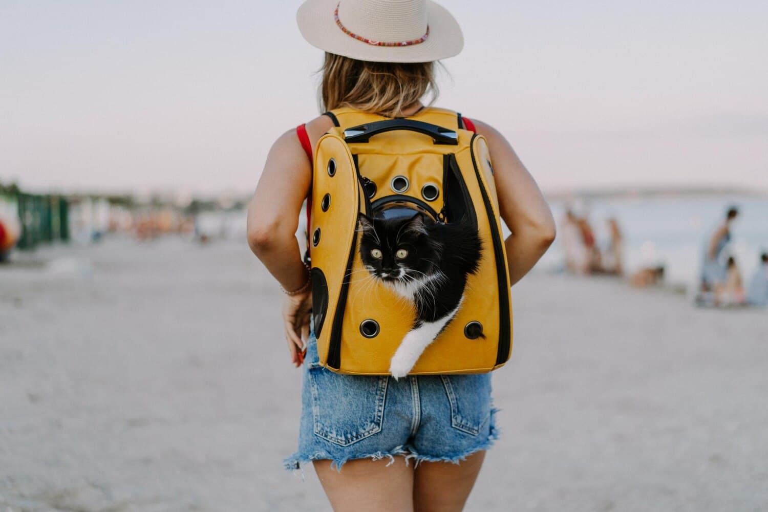 The 2026 Biological Security Firewall: Recalibrating International Pet Relocation for High-Stakes Global Mobility