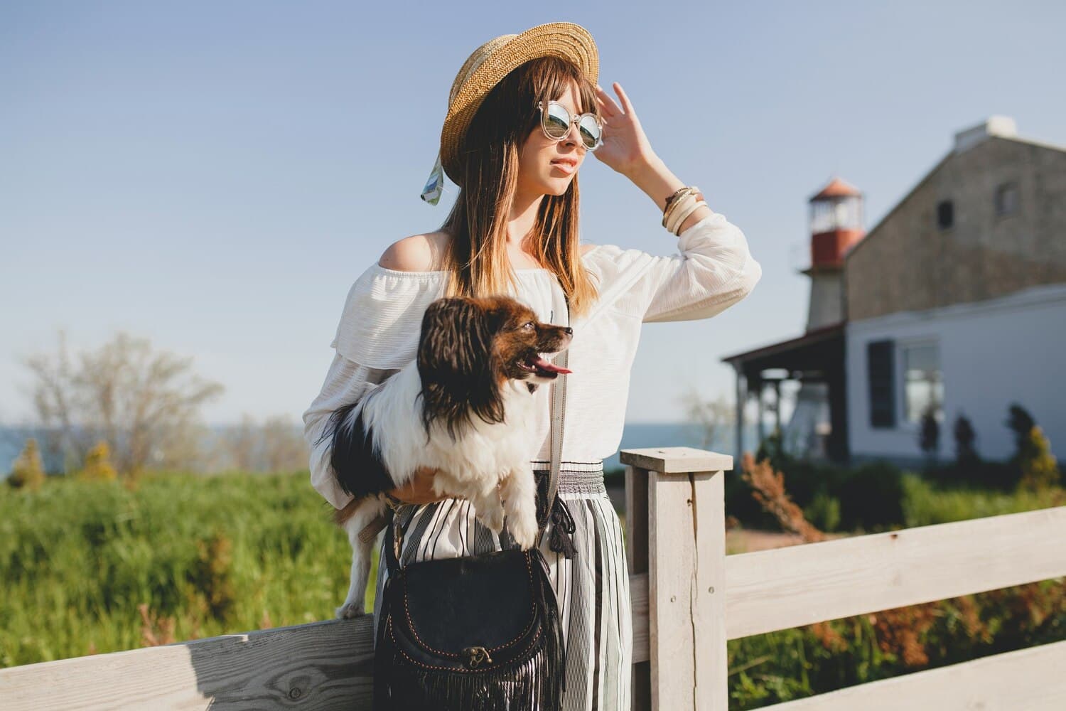 Pet Relocation: Managing the Stress for You and Your Animal